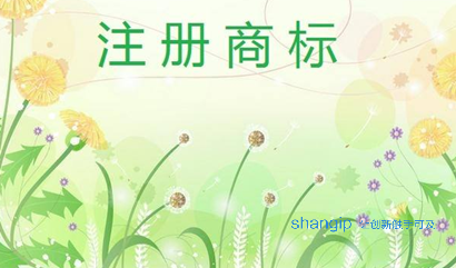 1616117281206982.png 0dacfe1ec96ae14cd10201b78e1c71b.png